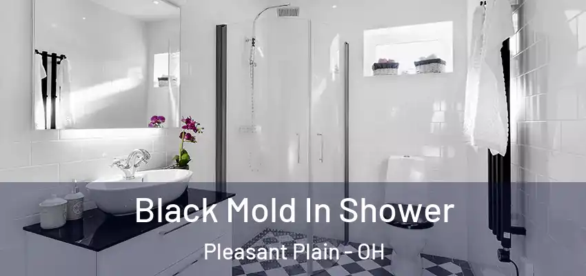 Black Mold In Shower Pleasant Plain - OH