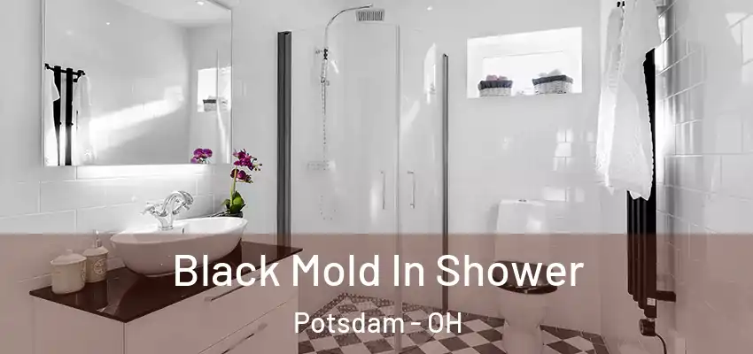  Black Mold In Shower Potsdam - OH