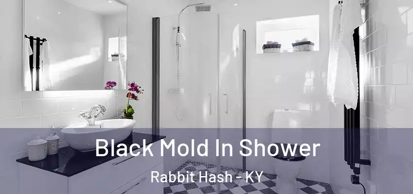 Black Mold In Shower Rabbit Hash - KY