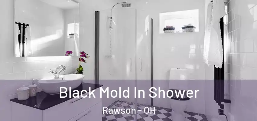 Black Mold In Shower Rawson - OH