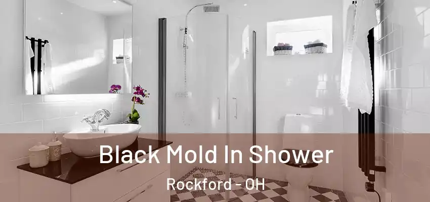 Black Mold In Shower Rockford - OH