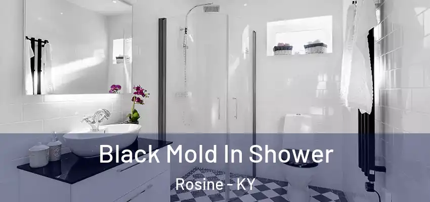  Black Mold In Shower Rosine - KY