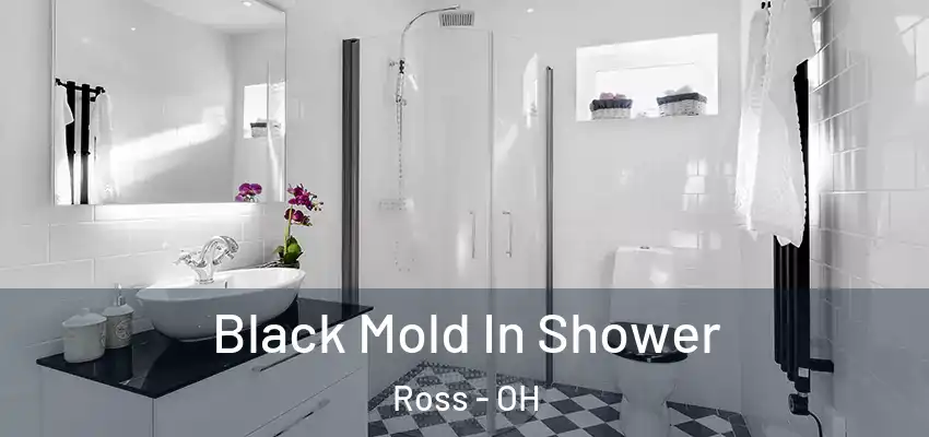 Black Mold In Shower Ross - OH