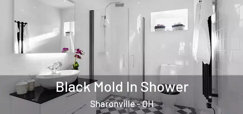  Black Mold In Shower Sharonville - OH