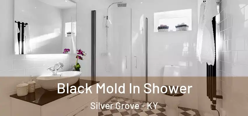  Black Mold In Shower Silver Grove - KY