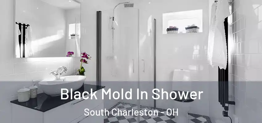 Black Mold In Shower South Charleston - OH