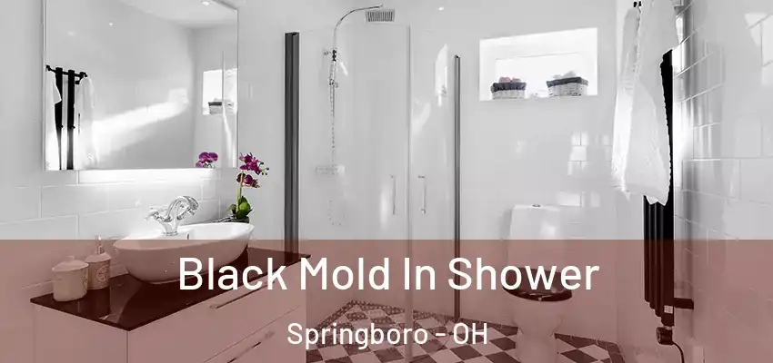 Black Mold In Shower Springboro - OH