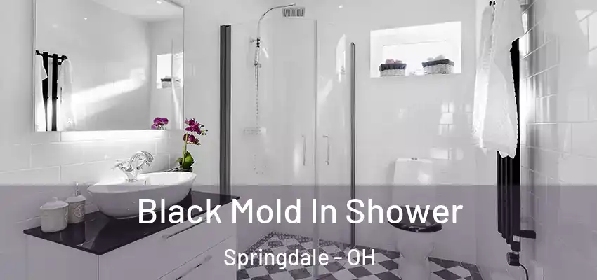 Black Mold In Shower Springdale - OH