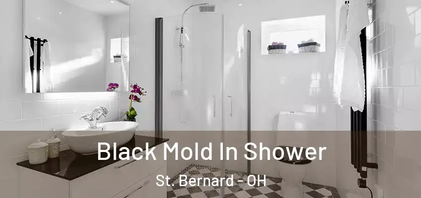 Black Mold In Shower St. Bernard - OH