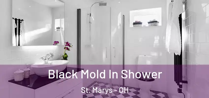  Black Mold In Shower St. Marys - OH