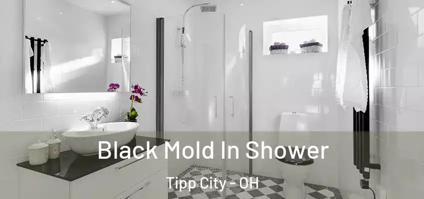  Black Mold In Shower Tipp City - OH
