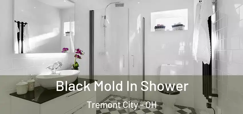 Black Mold In Shower Tremont City - OH