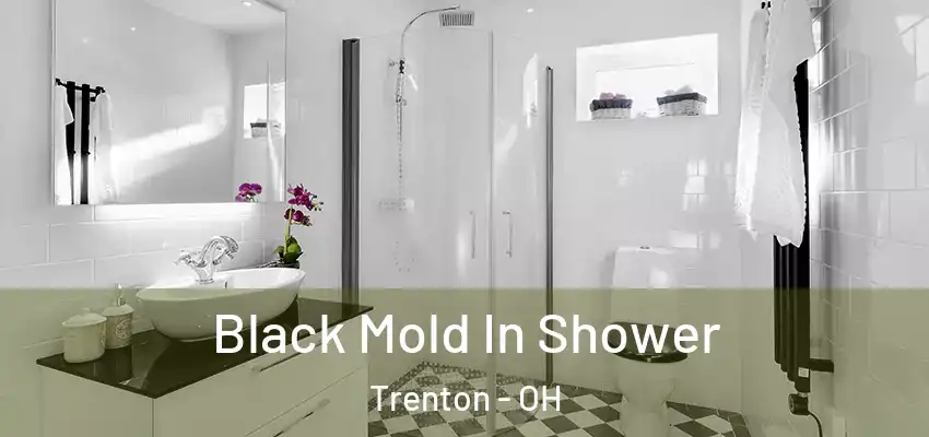  Black Mold In Shower Trenton - OH