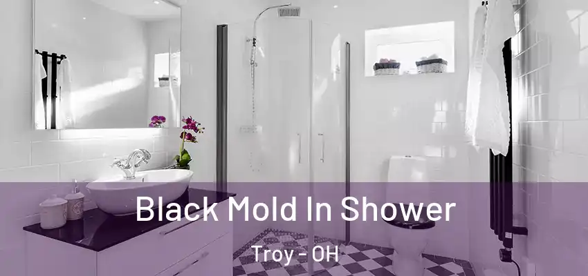 Black Mold In Shower Troy - OH