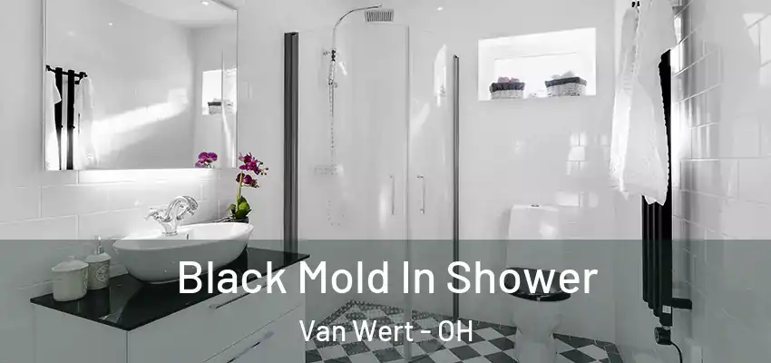 Black Mold In Shower Van Wert - OH