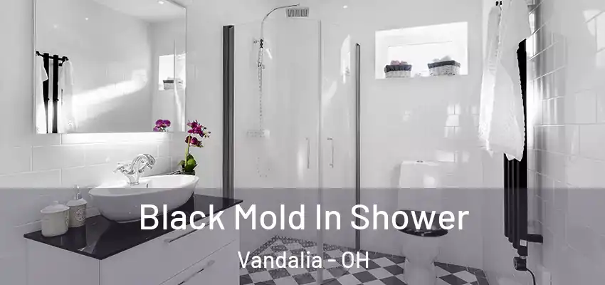  Black Mold In Shower Vandalia - OH