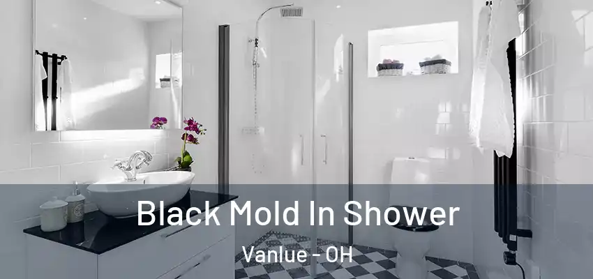  Black Mold In Shower Vanlue - OH