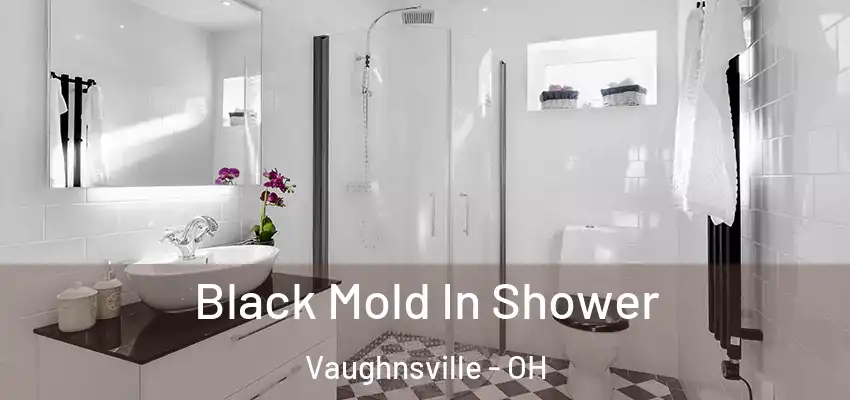  Black Mold In Shower Vaughnsville - OH