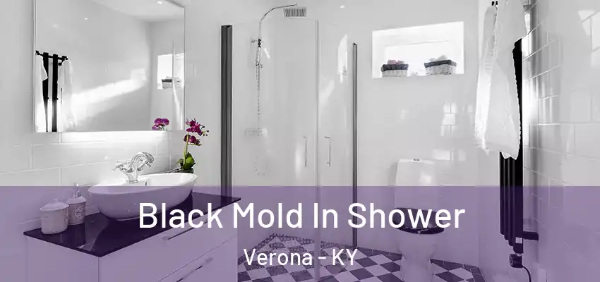  Black Mold In Shower Verona - KY