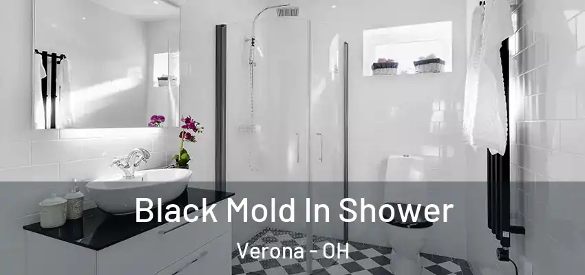  Black Mold In Shower Verona - OH