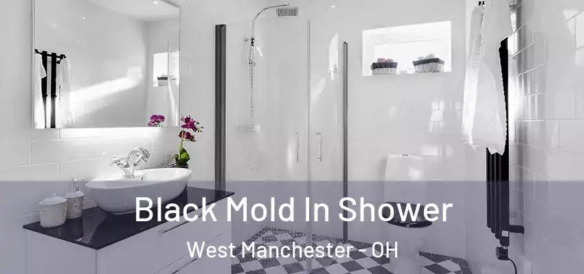  Black Mold In Shower West Manchester - OH