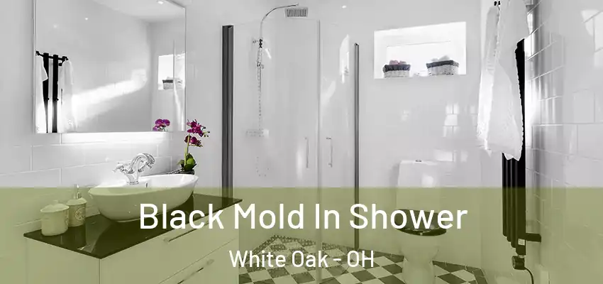  Black Mold In Shower White Oak - OH