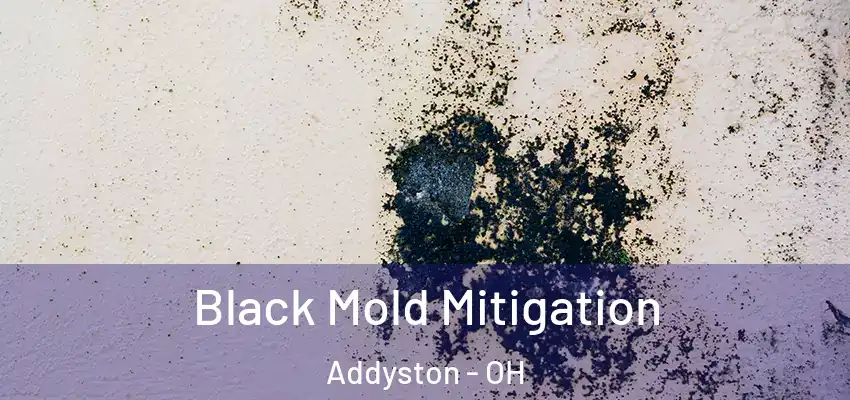  Black Mold Mitigation Addyston - OH