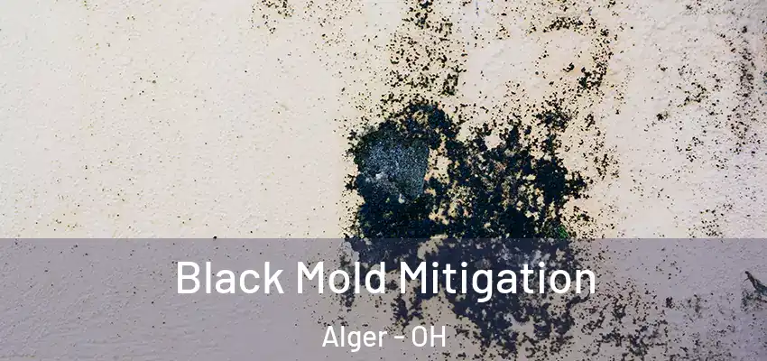 Black Mold Mitigation Alger - OH