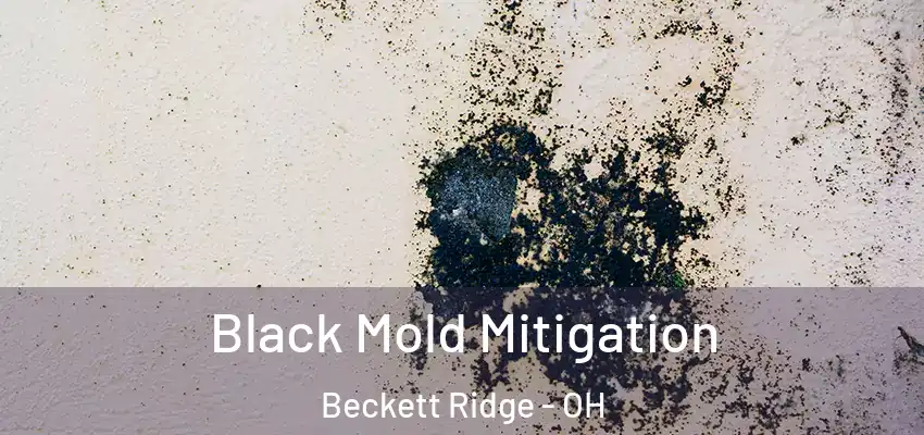 Black Mold Mitigation Beckett Ridge - OH
