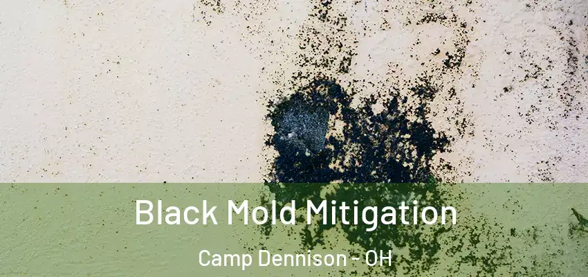 Black Mold Mitigation Camp Dennison - OH