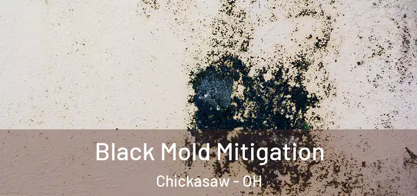 Black Mold Mitigation Chickasaw - OH