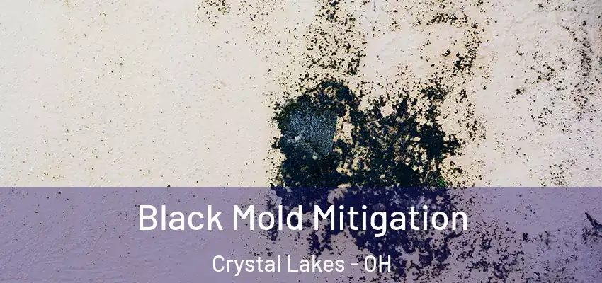  Black Mold Mitigation Crystal Lakes - OH
