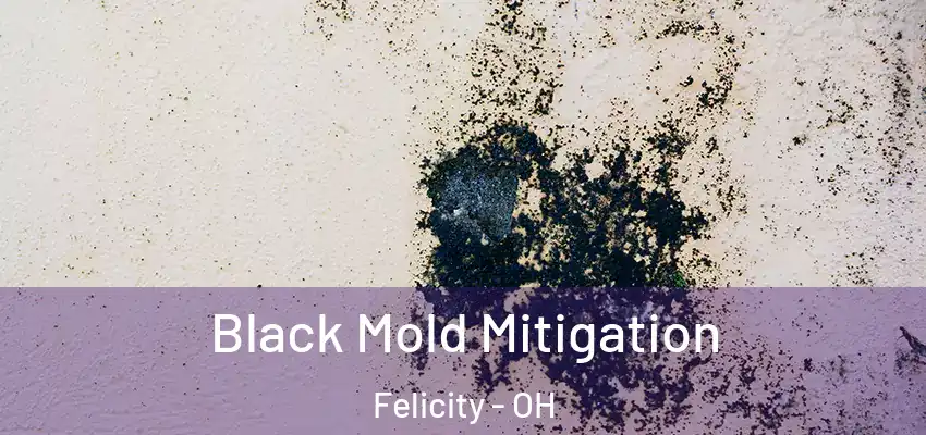 Black Mold Mitigation Felicity - OH