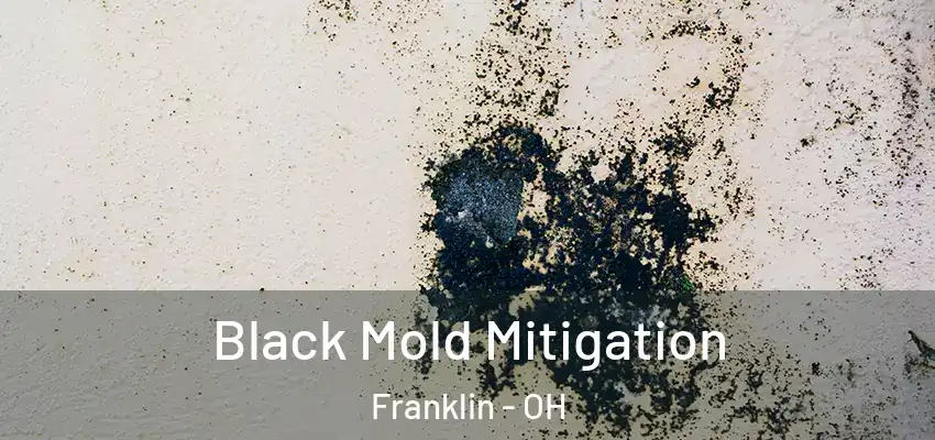 Black Mold Mitigation Franklin - OH