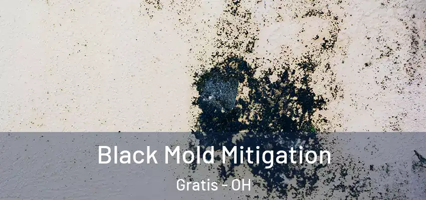  Black Mold Mitigation Gratis - OH