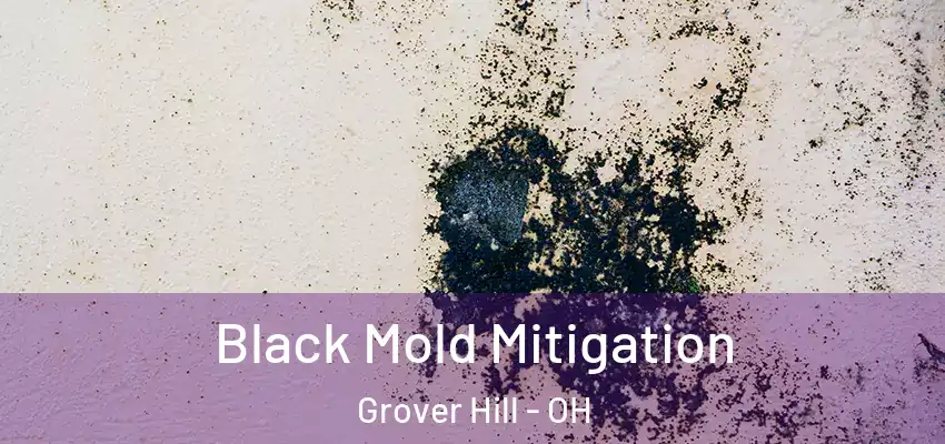 Black Mold Mitigation Grover Hill - OH
