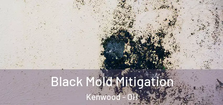 Black Mold Mitigation Kenwood - OH