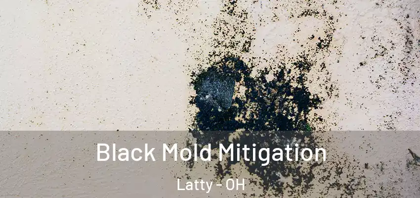 Black Mold Mitigation Latty - OH