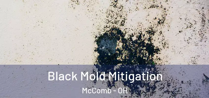  Black Mold Mitigation McComb - OH