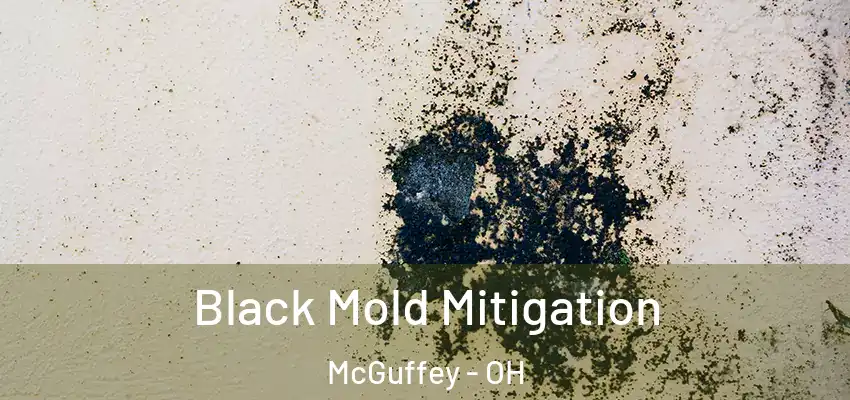  Black Mold Mitigation McGuffey - OH