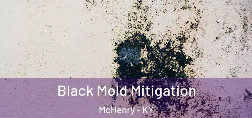 Black Mold Mitigation McHenry - KY