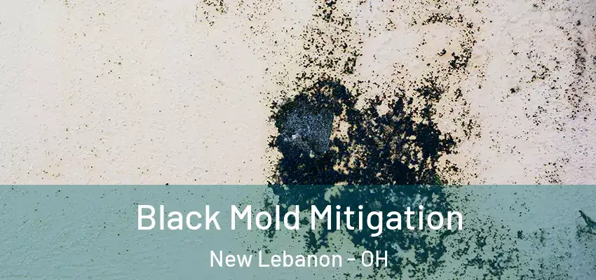 Black Mold Mitigation New Lebanon - OH