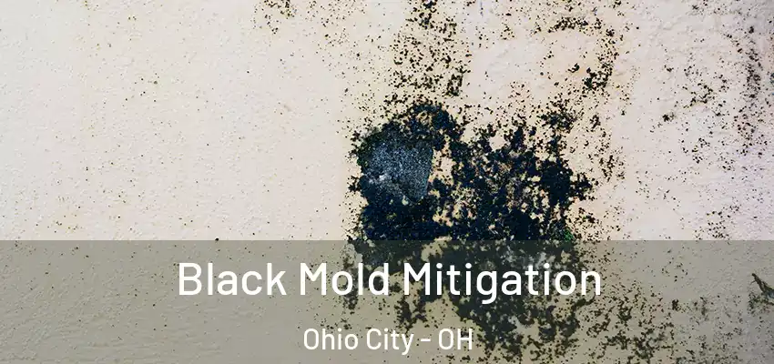 Black Mold Mitigation Ohio City - OH