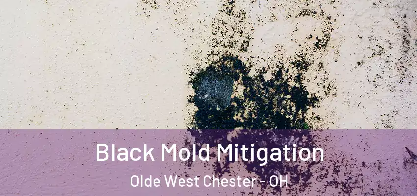 Black Mold Mitigation Olde West Chester - OH