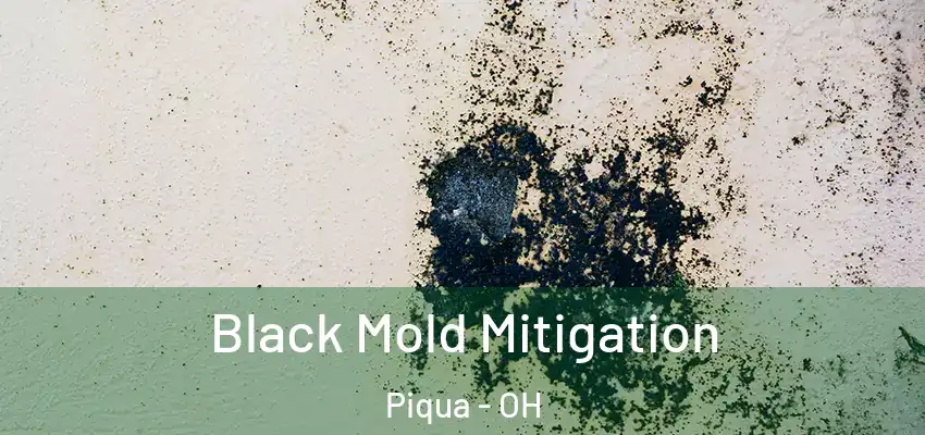 Black Mold Mitigation Piqua - OH