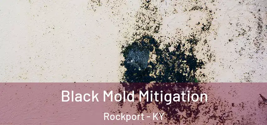 Black Mold Mitigation Rockport - KY