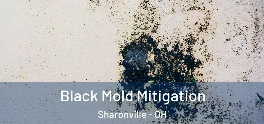 Black Mold Mitigation Sharonville - OH