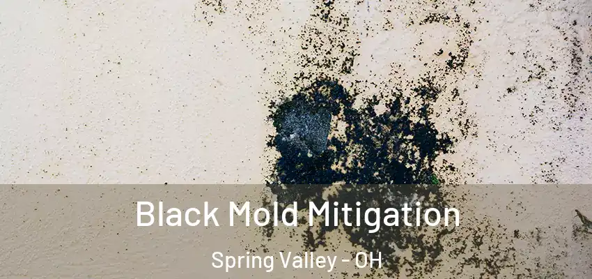  Black Mold Mitigation Spring Valley - OH