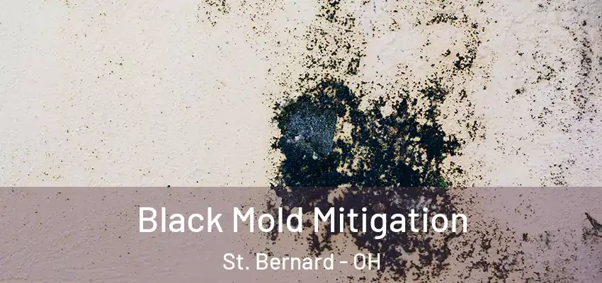 Black Mold Mitigation St. Bernard - OH