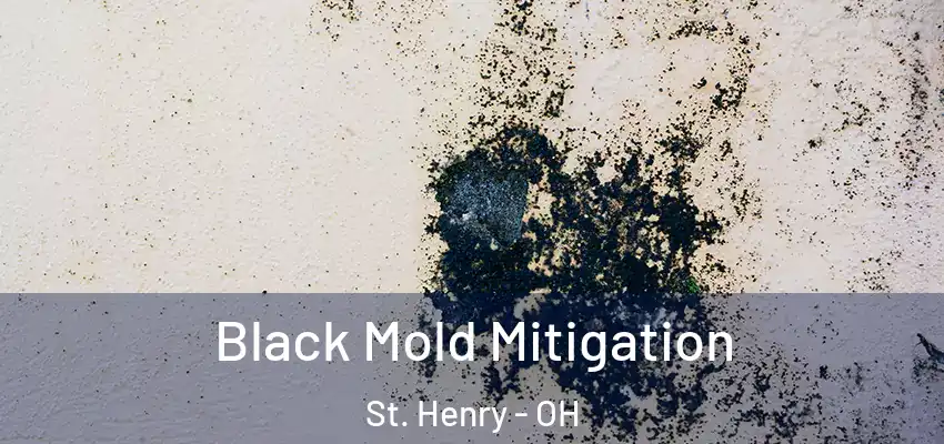  Black Mold Mitigation St. Henry - OH